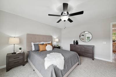 Catalina bedroom home features