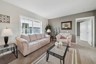 Pinot interior home features