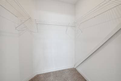 Pinot interior home features