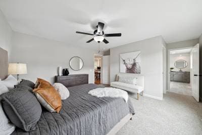 Catalina bedroom home features