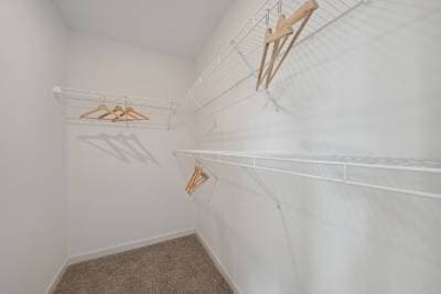 Catalina interior home features